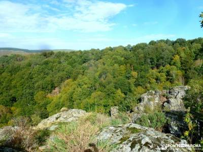 Dehesa Bonita-Abedular Somosierra;rutas senderismo cantabria marcos y cordero el tranco la pedriza